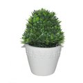 Jeco 7 in. Artificial Topiary Tree HD-BT010